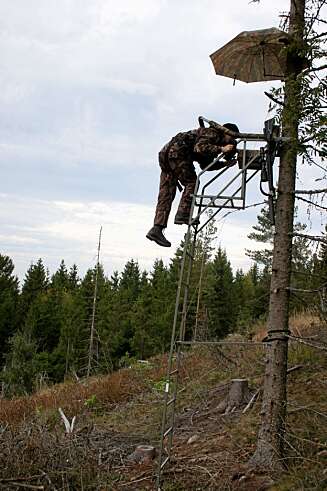 GREI SKURING: Jaktstigen fra Jaktpost er grei å entre opp i; fra siste stigetrinn er det rett inn på den solide fotplata.
Test av jaktstige og jakttårn GREI SKURING: Jaktstigen fra Jaktpost er grei å entre opp i; fra siste stigetrinn er det rett inn på den solide fotplata.
Test av jaktstige og jakttårn