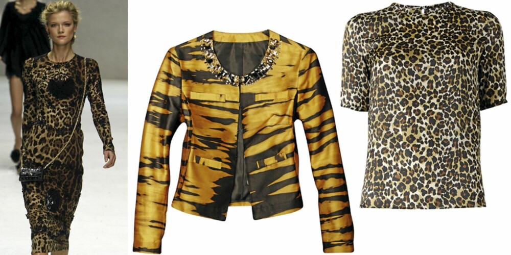 DYREPRINT: På catwalken til Dolce & Gabbana, jakke fra H&M (kr 599), topp fra Mango (kr 449). DYREPRINT: På catwalken til Dolce & Gabbana, jakke fra H&M (kr 599), topp fra Mango (kr 449).