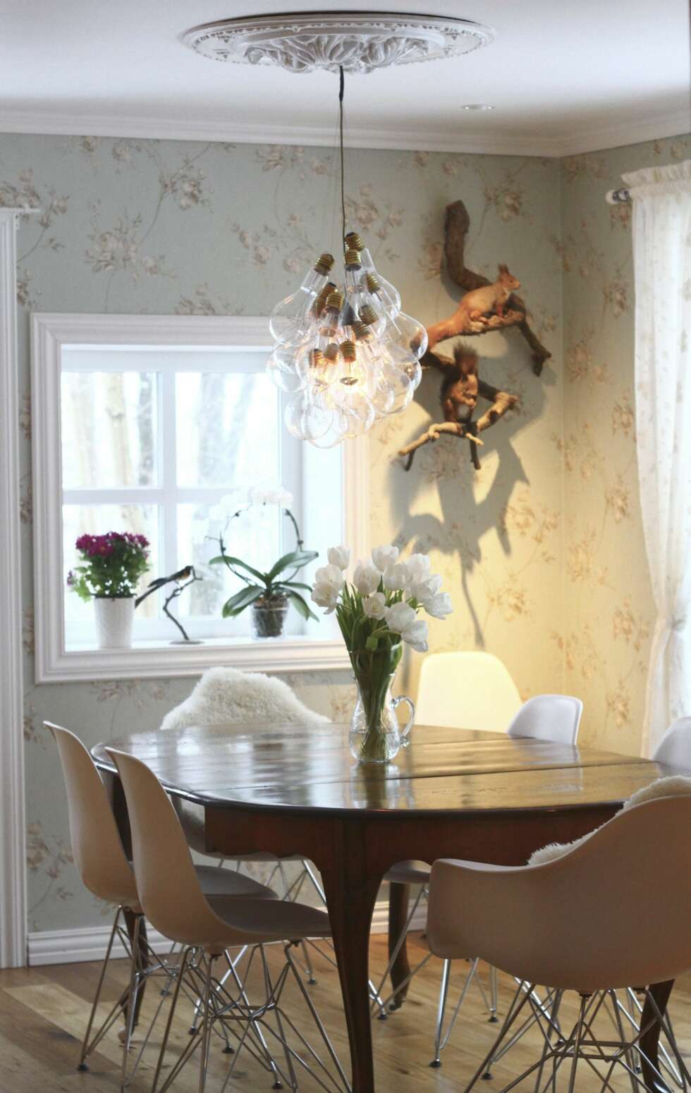 I spisestuen er et gammelt spisebord fra loppemarked kombinert med stoler i moderne design. På veggen henger to utstoppede ekorn som mannen i huset har arvet. I spisestuen er et gammelt spisebord fra loppemarked kombinert med stoler i moderne design. På veggen henger to utstoppede ekorn som mannen i huset har arvet.