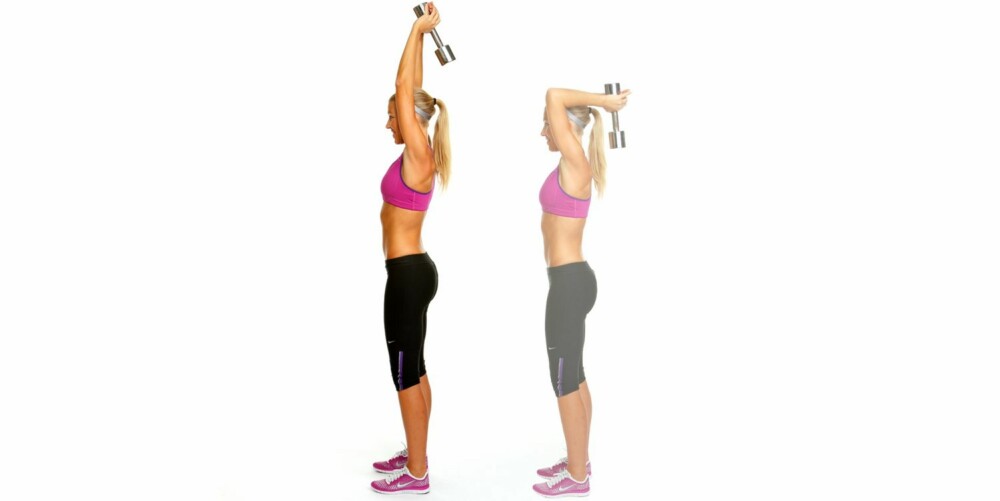 TOARMS TRICEP EXTENSION TOARMS TRICEP EXTENSION