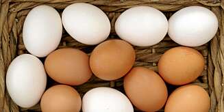 NÆRINGSRIKT: Egg har høyt proteininnhold. NÆRINGSRIKT: Egg har høyt proteininnhold.