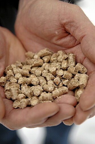 PELLETS: Pellets er er et alternativ til vedfyring, men først må du kjøpe pelletsovn. PELLETS: Pellets er er et alternativ til vedfyring, men først må du kjøpe pelletsovn.
