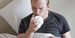 BRONKITT: De tre vanligste vinterlidelsene er bronkitt, bihulebetennelse og lungebetennelse. BRONKITT: De tre vanligste vinterlidelsene er bronkitt, bihulebetennelse og lungebetennelse.