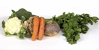 GRØNT: Puré av brokkolli, blomkål, selleri, gulrot og kålrot. GRØNT: Puré av brokkolli, blomkål, selleri, gulrot og kålrot.