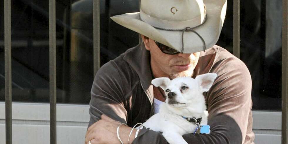 ET HUNDELIV: Hundeelskeren Mickey Rourke er stadig å se med nye skjønnheter. ET HUNDELIV: Hundeelskeren Mickey Rourke er stadig å se med nye skjønnheter.
