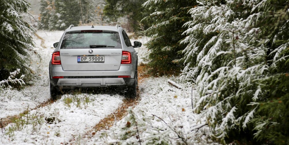 DET LILLE EKSTRA: En liten økning i bakkeklaringen, samt beskyttelse under bilen gjør at du føler deg tryggere på dårlig vei. DET LILLE EKSTRA: En liten økning i bakkeklaringen, samt beskyttelse under bilen gjør at du føler deg tryggere på dårlig vei.