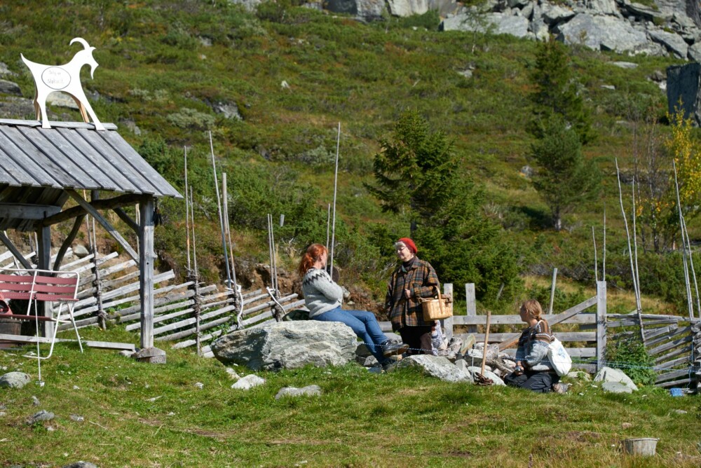 KULTURFORMIDLING: Hver onsdag åpner familien opp stølen for besøkende. Da kurses det i stølsdrift og kulturhistorie med smakebiter av årets produksjon; spekepølse laget av geitekjøtt, hvit geitost, fetaost, kremost, chèvre og yoghurt – alt håndlaget av økologisk geitemelk på stølen.
KULTURFORMIDLING: Hver onsdag åpner familien opp stølen for besøkende. Da kurses det i stølsdrift og kulturhistorie med smakebiter av årets produksjon; spekepølse laget av geitekjøtt, hvit geitost, fetaost, kremost, chèvre og yoghurt – alt håndlaget av økologisk geitemelk på stølen.