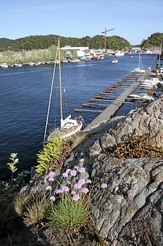 IDYLL: Her i Mandal er mye idyllisk og tilrettelagt skjærgård, og du skal lete lenge etter tilsvarende. IDYLL: Her i Mandal er mye idyllisk og tilrettelagt skjærgård, og du skal lete lenge etter tilsvarende.