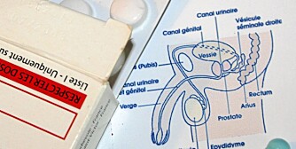 EKSTRA STIMULI: Hvor vanlig er det egentlig å trenge hjelpemidler for å få ereksjon? EKSTRA STIMULI: Hvor vanlig er det egentlig å trenge hjelpemidler for å få ereksjon?