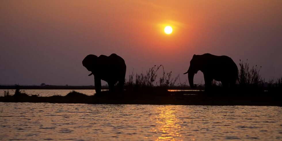 BOTSWANA: I Botswana kan dere oppleve mange flotte dyr. En spennende ferie for litt større barn. BOTSWANA: I Botswana kan dere oppleve mange flotte dyr. En spennende ferie for litt større barn.