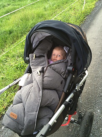 Koser seg i vogna. Foto: privat Koser seg i vogna. Foto: privat