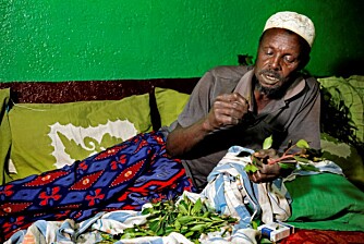 KHAT: Yussuf heiv innpå med khat før matingen... KHAT: Yussuf heiv innpå med khat før matingen...