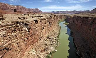 NÅR SJELDENT HAVET: Colorado River, som står for omlag 90 prosent av vannforbruket i Las Vegas, når sjelden havet. NÅR SJELDENT HAVET: Colorado River, som står for omlag 90 prosent av vannforbruket i Las Vegas, når sjelden havet.