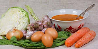 The soup, egg and fresh vegetables from kitchen garden The soup, egg and fresh vegetables from kitchen garden