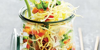 DAGSMENY: Vektkonsulentene har utarbeidet dagsmenyer under 1500 kcal. DAGSMENY: Vektkonsulentene har utarbeidet dagsmenyer under 1500 kcal.