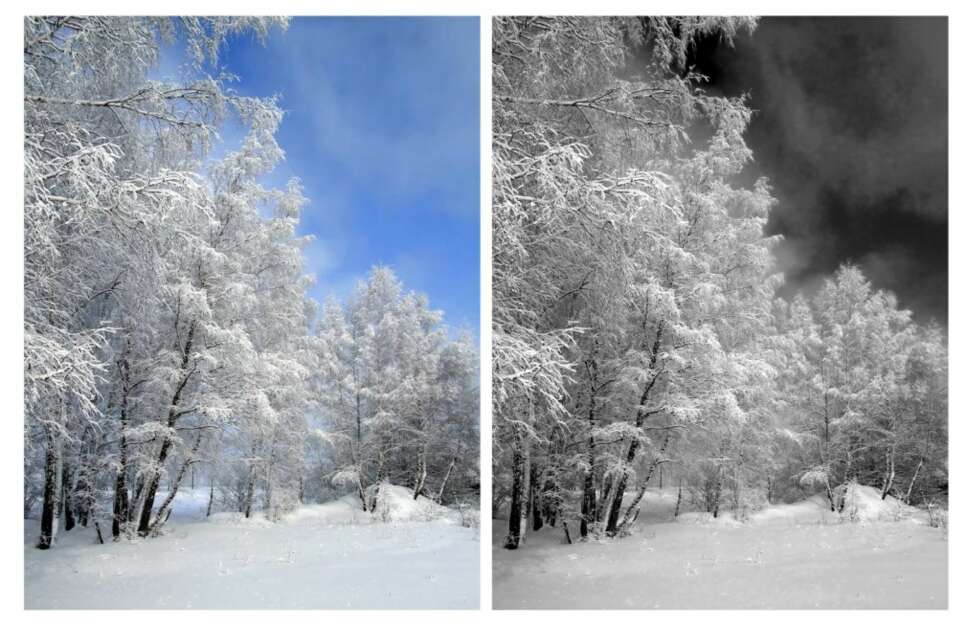 FILTER: Ved å bruke et filter når du fotograferer, kan effektene i sorthvittbildet bli mer dramatiske. FILTER: Ved å bruke et filter når du fotograferer, kan effektene i sorthvittbildet bli mer dramatiske.