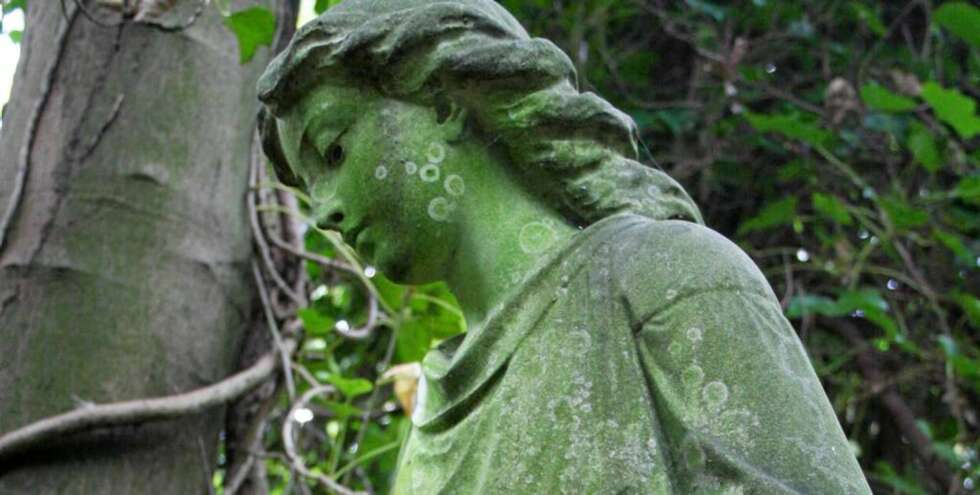 GAMMEL STATUE: Kirkegården ligger bare en 15 minutters t-banetur fra London sentrum. Her finner du mange gamle, vakre steinfigurer. GAMMEL STATUE: Kirkegården ligger bare en 15 minutters t-banetur fra London sentrum. Her finner du mange gamle, vakre steinfigurer.