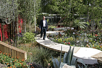 SHOWHAGE: "The Lloyds TSB Garden" var en av deltakerne i konkurransen i 2009. SHOWHAGE: "The Lloyds TSB Garden" var en av deltakerne i konkurransen i 2009.