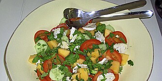 OPPSKRIFT PÅ MELONSALAT: Lyst på noe sommerlig? Her kommer melonsalaten... OPPSKRIFT PÅ MELONSALAT: Lyst på noe sommerlig? Her kommer melonsalaten...