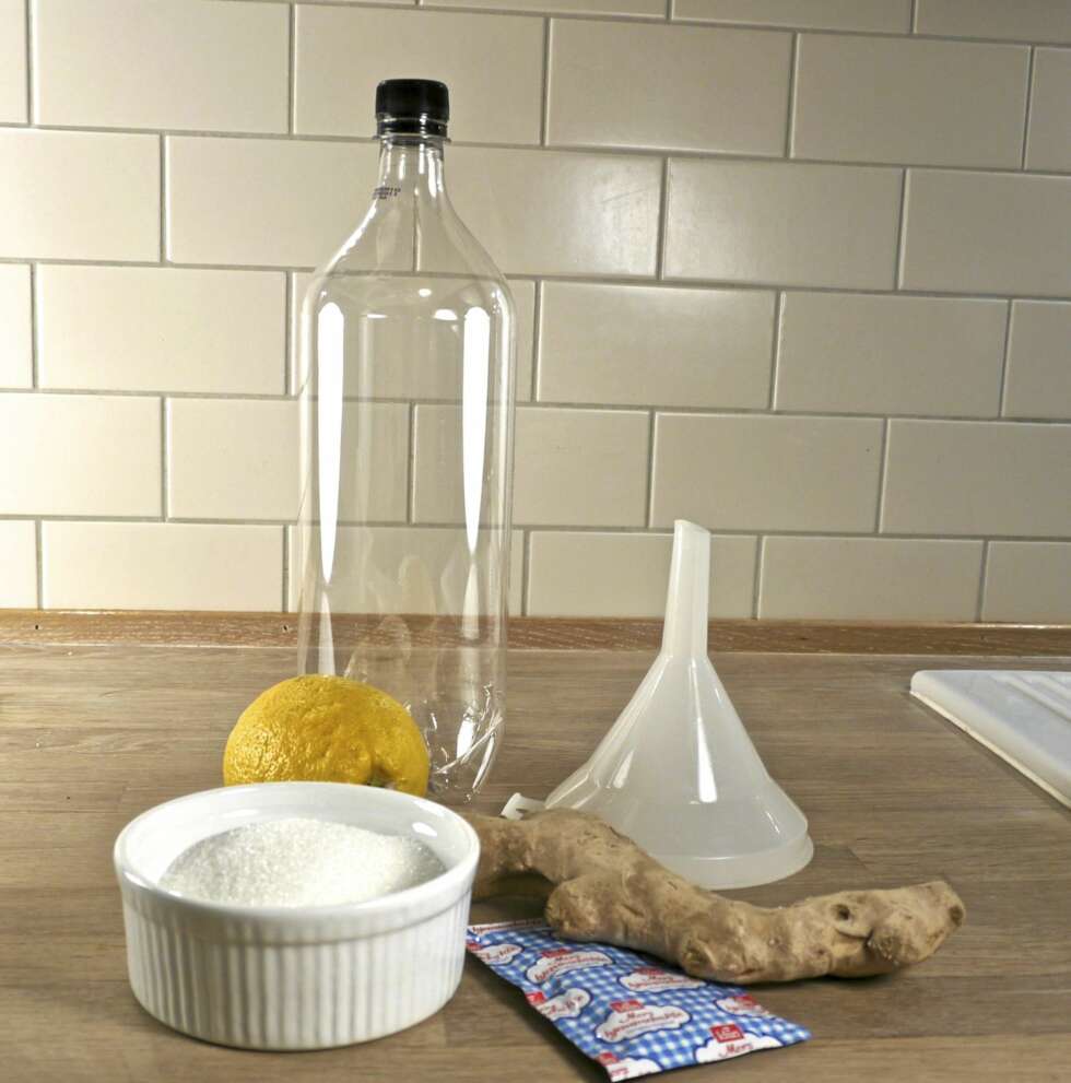 Du trenger: En stor brusflaske (1,5 liter), en trakt, sukker, sitron, tørrgjær og fersk ingefær. Du trenger: En stor brusflaske (1,5 liter), en trakt, sukker, sitron, tørrgjær og fersk ingefær.