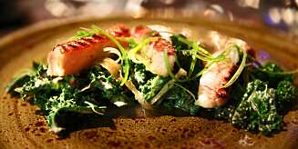 RESTAURANT VON PORAT: Slik ser måltidet ut på restauranten von Porat i Mathallen. RESTAURANT VON PORAT: Slik ser måltidet ut på restauranten von Porat i Mathallen.