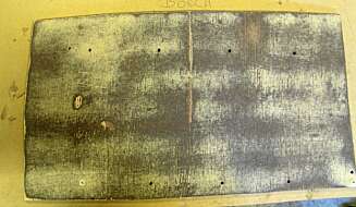 Plate: vi målte hvor fort maskinene klarte å slipe av det ytterste laget på en finérplate. Plate: vi målte hvor fort maskinene klarte å slipe av det ytterste laget på en finérplate.