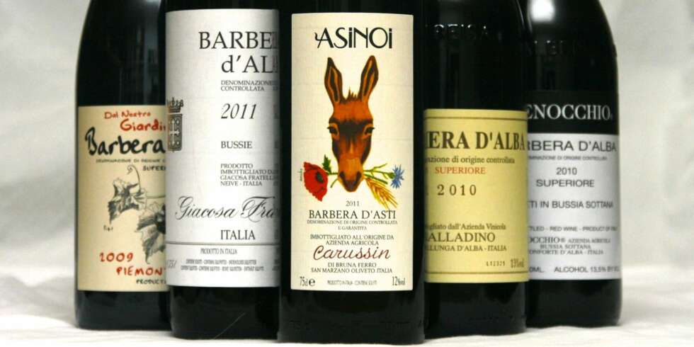 BARBERA: Viner laget på barbera-druen er veldig fleksible i matveien. BARBERA: Viner laget på barbera-druen er veldig fleksible i matveien.