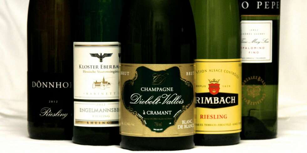 IKKE RØDVIN: Du kan bruke både hvitvin, champagne og sherry til rakfisk, men ikke rødvin. IKKE RØDVIN: Du kan bruke både hvitvin, champagne og sherry til rakfisk, men ikke rødvin.