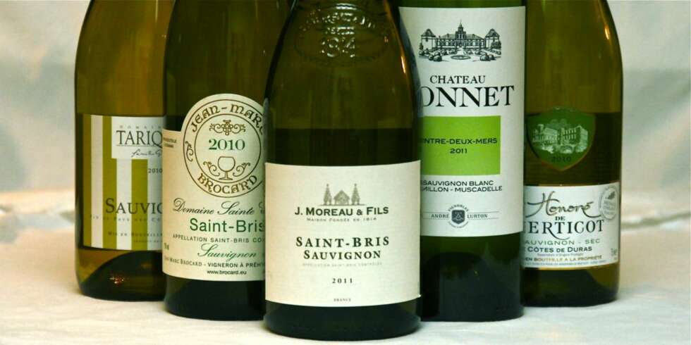 GRØNNE VINER: Sauvignon blanc gir ofte vinene laget på denne druen et "grønt" preg. GRØNNE VINER: Sauvignon blanc gir ofte vinene laget på denne druen et "grønt" preg.