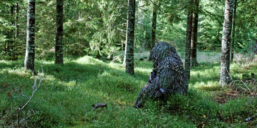 BLI EN STUBBE: Har du noen gang ønsket å bli en usynlig stubbe i skogen? Med rett kamuflasje kan du komme farlig nær. BLI EN STUBBE: Har du noen gang ønsket å bli en usynlig stubbe i skogen? Med rett kamuflasje kan du komme farlig nær.