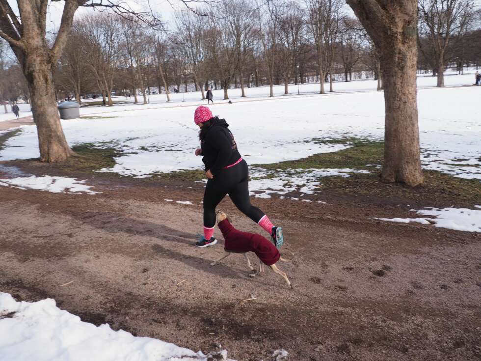 HIIT-INTERVALLER: Kan fint gjennomføres på under 20 minutter. Effektiv og god trening! HIIT-INTERVALLER: Kan fint gjennomføres på under 20 minutter. Effektiv og god trening!