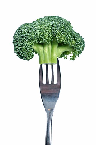 BROKKOLI: Brokkoli er rik på jern, A- og B-vitamin, og har dobbelt så mye C-vitamin som appelsin i tillegg til at den er full av antioksidanter. BROKKOLI: Brokkoli er rik på jern, A- og B-vitamin, og har dobbelt så mye C-vitamin som appelsin i tillegg til at den er full av antioksidanter.