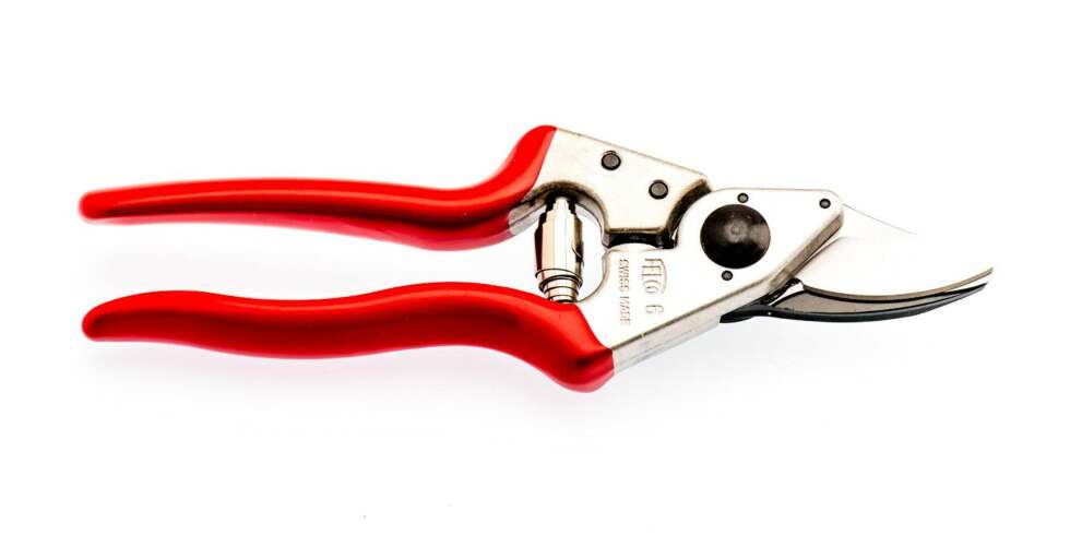 TEST AV BESKJÆRINGSSAKSER: Felco 6 TEST AV BESKJÆRINGSSAKSER: Felco 6