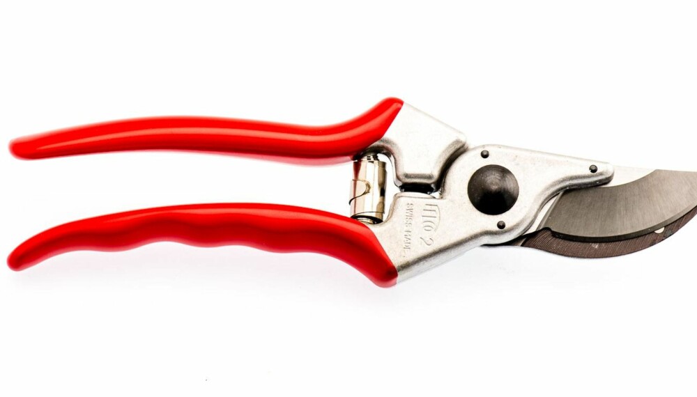 TEST AV BESKJÆRINGSSAKSER: Felco 2 TEST AV BESKJÆRINGSSAKSER: Felco 2