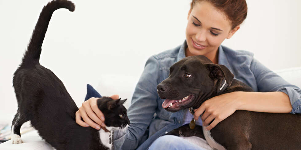 ALLERGI MOT HUND ELLER KATT: Mistenker du allergi mot hund, katt, hest eller andre pelsdyr? Foto: Getty Images ALLERGI MOT HUND ELLER KATT: Mistenker du allergi mot hund, katt, hest eller andre pelsdyr? Foto: Getty Images