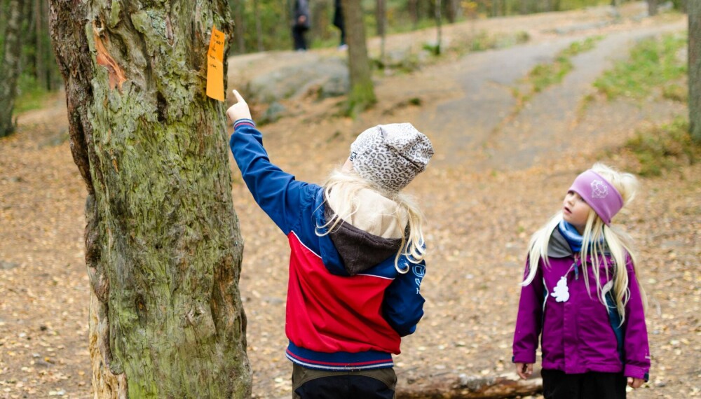 NATURSTI FOR BARN: En natursti er perfekt som en morsom aktivitet i en utebursdag, på en aktivitetsdag eller bare som en hyggelig helgeaktivitet. FOTO: Tanja Reine. NATURSTI FOR BARN: En natursti er perfekt som en morsom aktivitet i en utebursdag, på en aktivitetsdag eller bare som en hyggelig helgeaktivitet. FOTO: Tanja Reine.