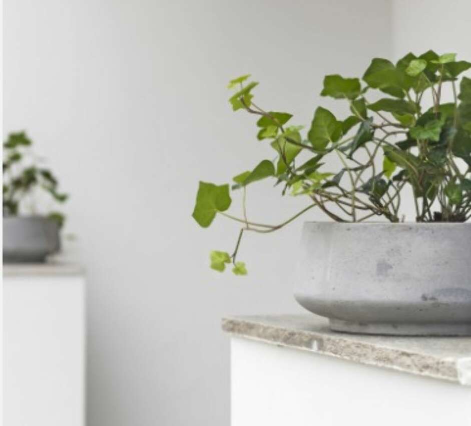 FASADEFORANDRING: Nå blir kantene brukt til planter etter sesong og årstid. FASADEFORANDRING: Nå blir kantene brukt til planter etter sesong og årstid.