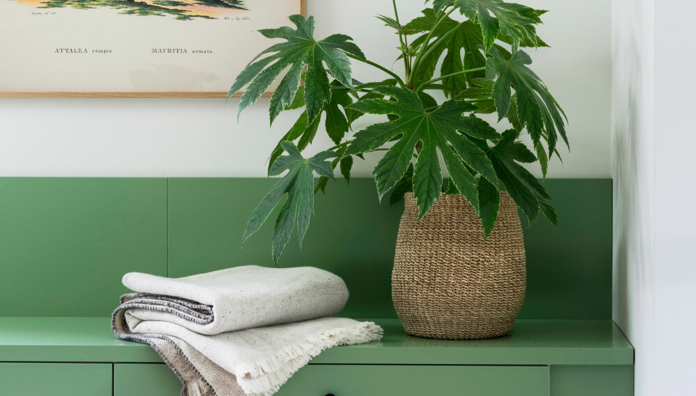 Grønnfargen fra kjøkkenet er med også inn i stuen, og bidrar til å binde rommene sammen visuelt. Kjøkkenet er fra Ikea, og er spraymalt i fargen Pale Green fra Jotun. Alt av innredning er bygget av A&B Byggmontasje. Grønnfargen fra kjøkkenet er med også inn i stuen, og bidrar til å binde rommene sammen visuelt. Kjøkkenet er fra Ikea, og er spraymalt i fargen Pale Green fra Jotun. Alt av innredning er bygget av A&B Byggmontasje.
