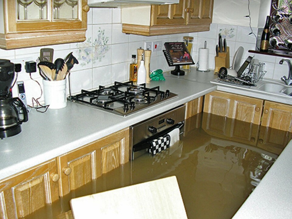 HVA GJØR DU?: Neppe et veldig hyggelig syn å møte i kjøkkenet.