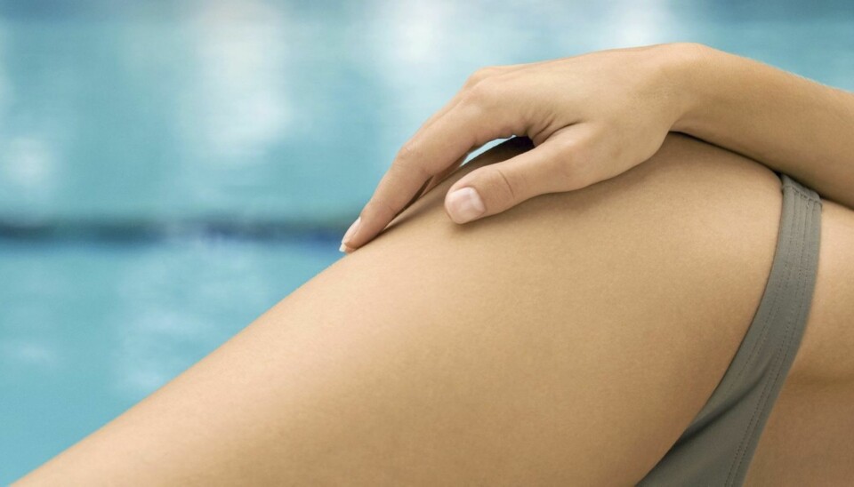 LAVKARBO: Du kan gå ned flere kilo i måneden med lavkarbo. Gjør smarte valg i butikken.