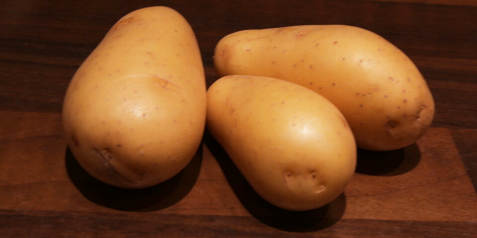 IKKE FETENDE: Det er viktig å velge poteter i naturlig form, og ikke som potetgull og pommes frites.