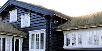 BN 0209, nybygd hytte på Geilo, solid tømmer, sarte farger