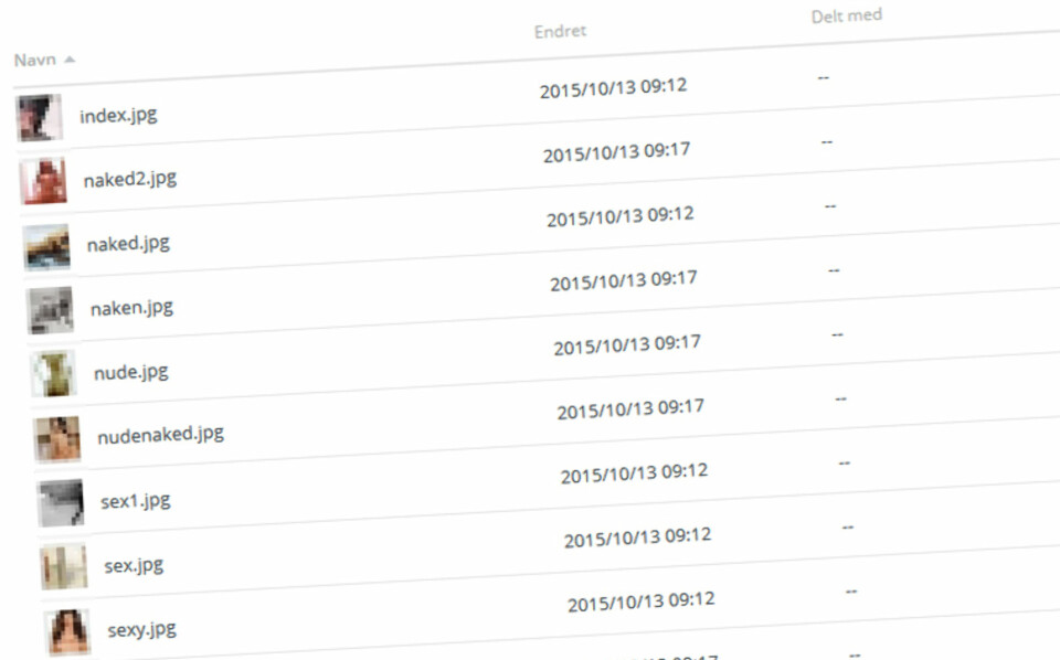 «Daglig leder lastet ned nakenbilder på firmaets dropbox»