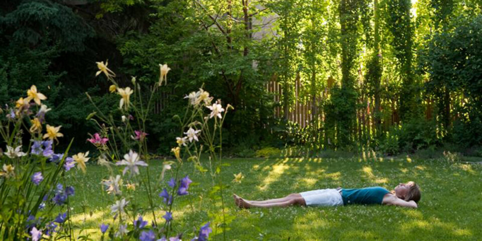 Dette er hagen nordmenn liker best