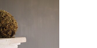 Veggen får en fin betonglook med kalkmaling, her er det brukt Pure & Original Fresco. Veggen får en fin betonglook med kalkmaling, her er det brukt Pure & Original Fresco.