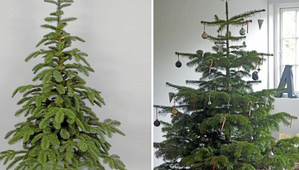 KUNSTIG ELLER NATURLIG: Skal juletreet være kunstig eller naturlig? Valget er ditt. Det kunstige til venstre, forresten.