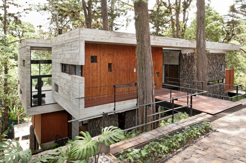 KRAFTIG SKOGVEKST: Huset er bygget i en bakke med frodig skogsvekst. Arkitektene la stor vekt på terrengtilpasning og bevaring av trærne.