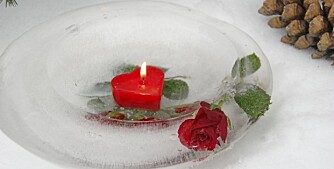 KALD BLOMSTERPRAKT. Roser tåler kulde og er flotte  i islykten. Denne har en lav kant, men den kan du regulere selv når du fyller på vann.