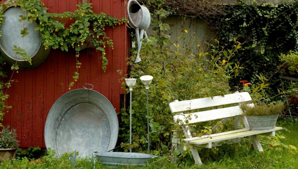 HØSTHAGE. Det er ikke så mye som skal til for å klargjøre hagen før frosten kommer. Beskjæring er det viktigste, og så kan du med hell plante stauder nå.