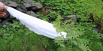 FLÅTT FORSKNINGSPROSJEKT: Er du nysgjerrig på om det finnes flått i hagen din, kan du trekke et hvitt tøystykke over gress og vegetasjon og sjekke om det har festet seg flått på det.